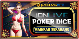 Casino Games Mega Wheel