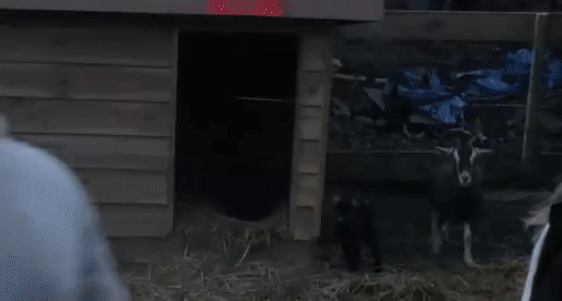 de1e951889126ea130dc859ad1f83d99.gif