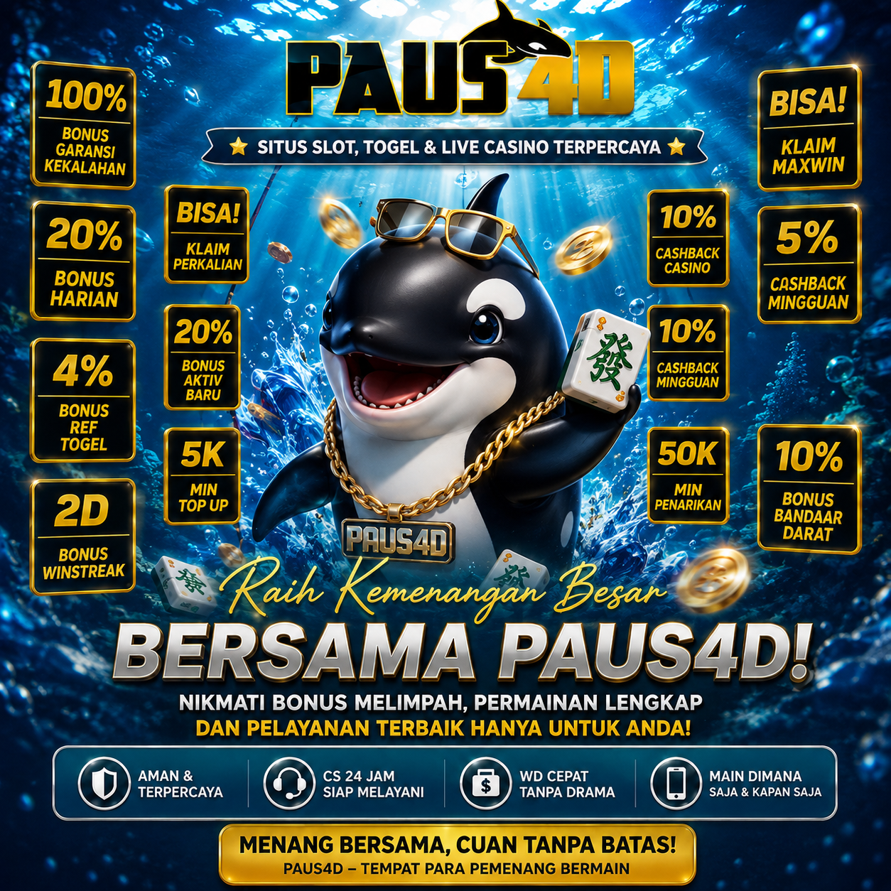 Paus4dresmix6