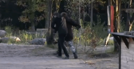 dea8b7c45d442bbb5b4ce7495ca2806a.gif