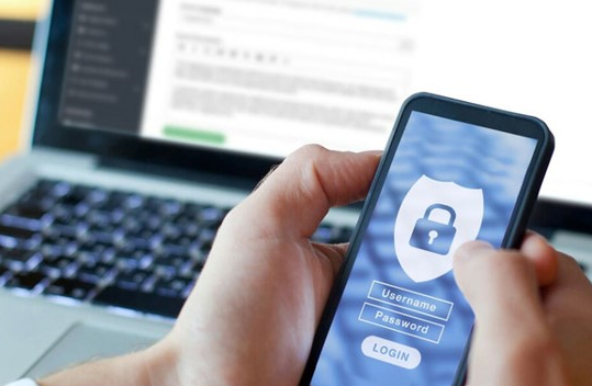 Seguridad Digital Pro