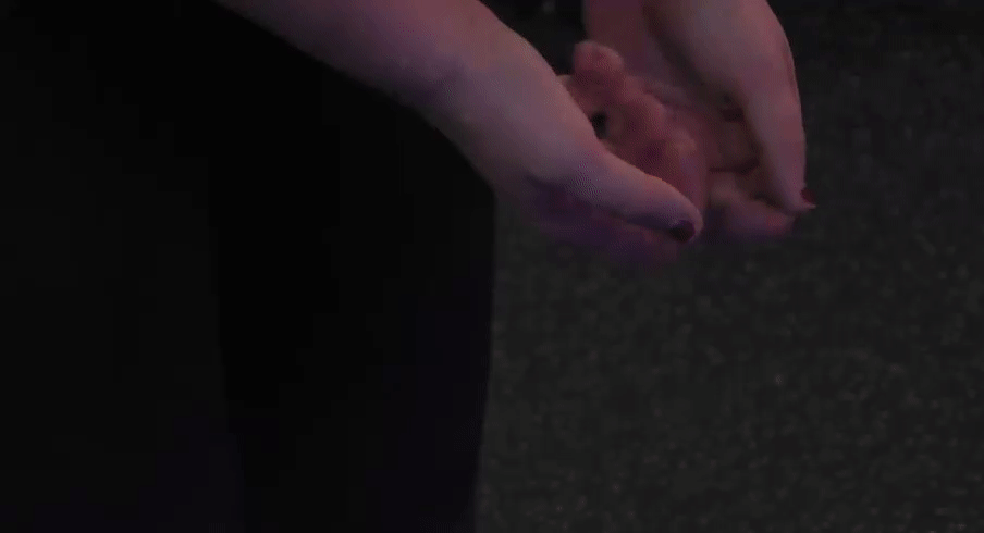 ded8dfdebfa89242337c6932d00d6c18.gif