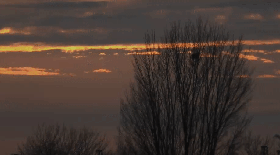 df4d700c481c6fa5e0b4a663bc974ab4.gif