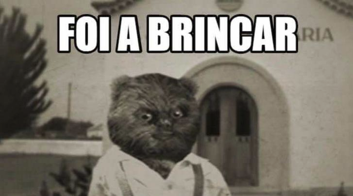 df4e3b261c20fb07b88a835c2f5802c1.png