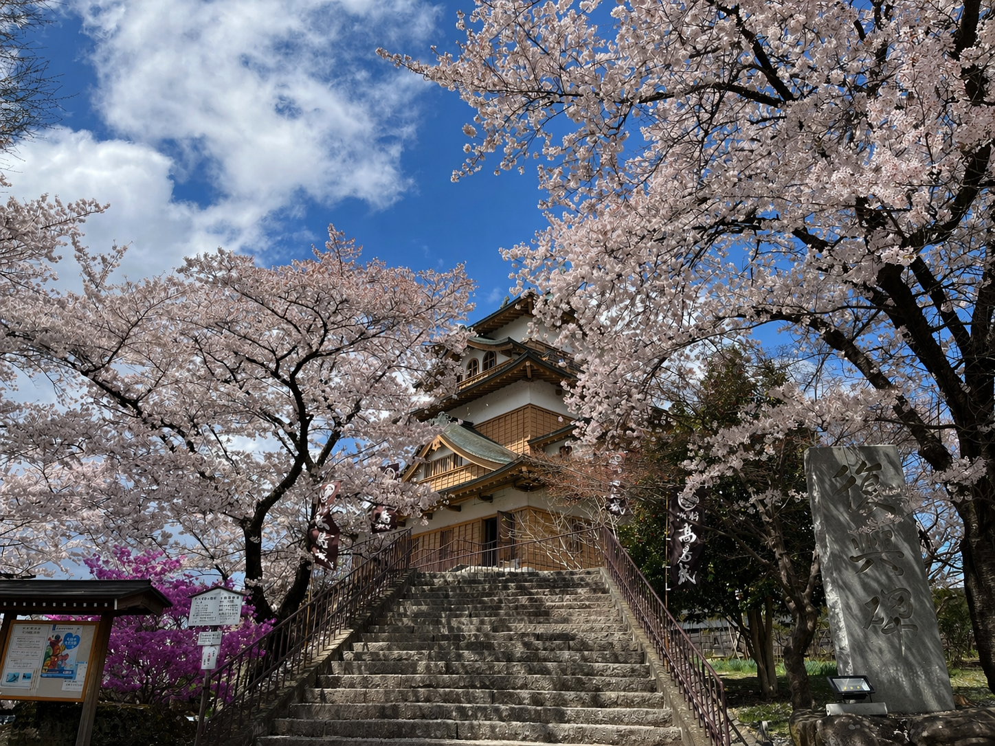 桜と天守閣