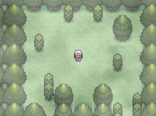 [PokeCommunity.com] Black Screen After Warp? [Solved]