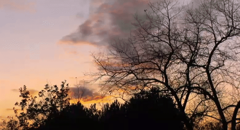 e121896e1691a970c6644bc91d6c78aa.gif