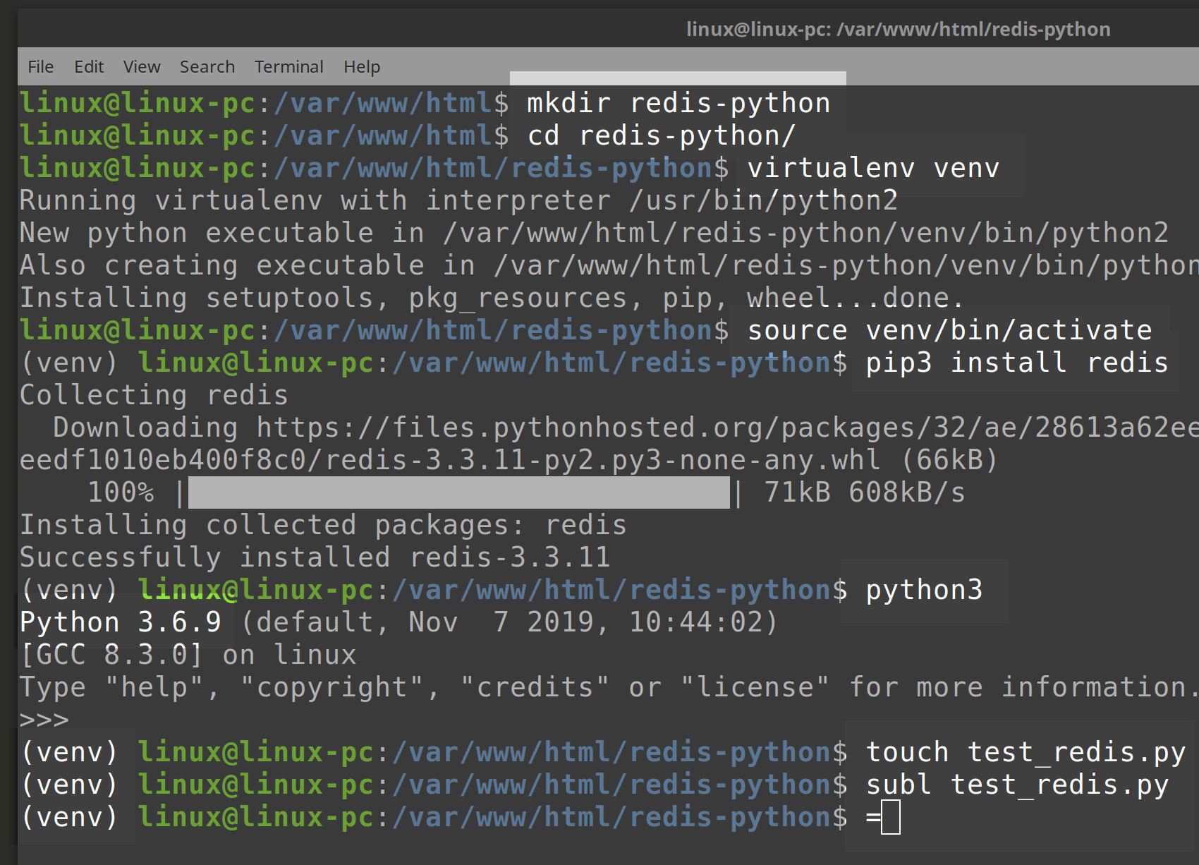 Setting up Python virtual environment for a Redis server project in terminal