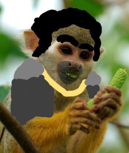e24df69fdddf6acf3d782aaf221ef59f.png