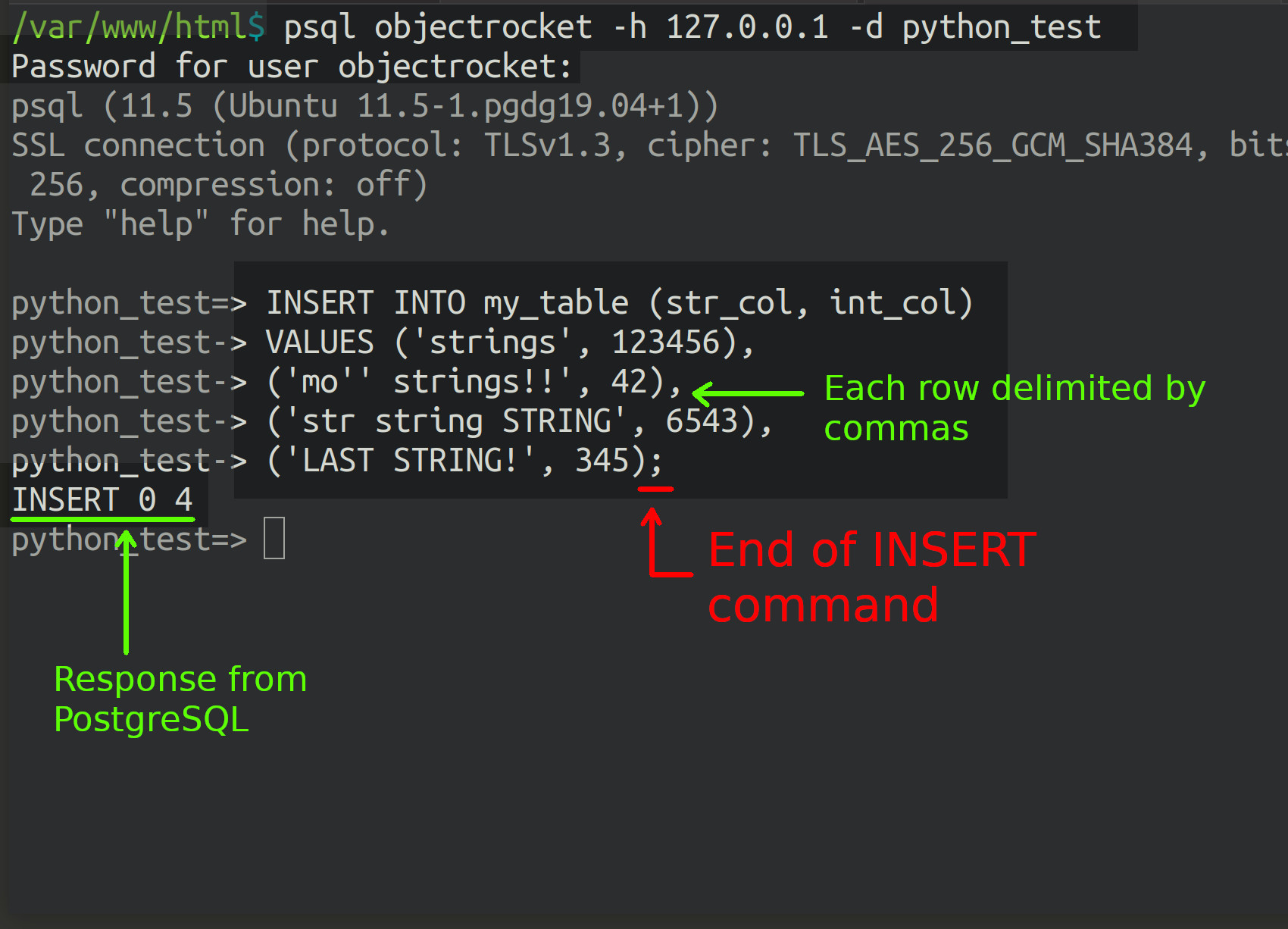 Terminal PostgreSQL psql INSERT INTO commands inserting multiple rows