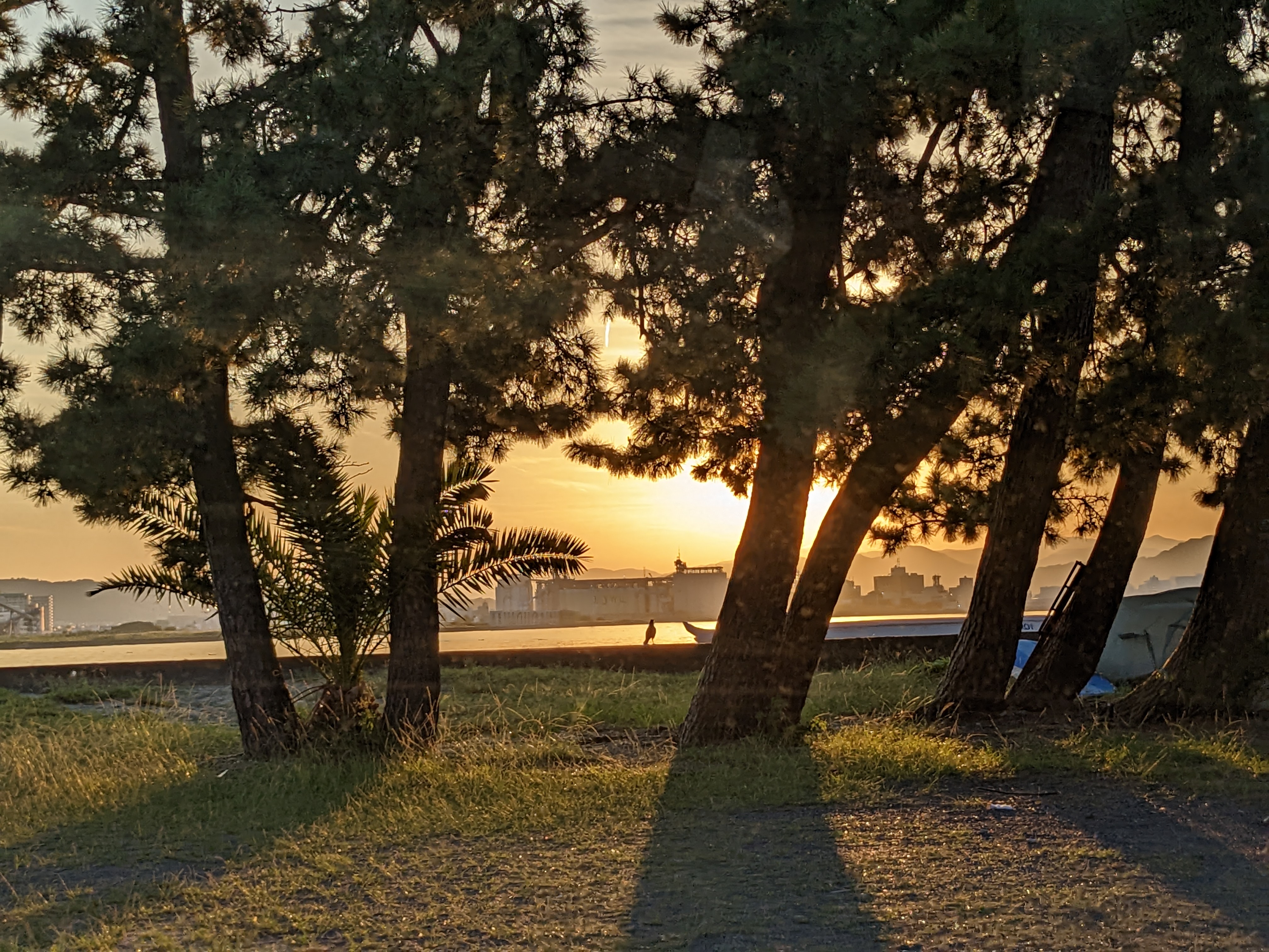 夕焼けに染まる清水港