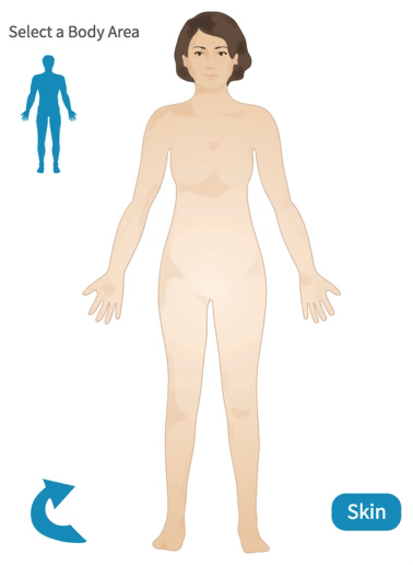 Female Homunculus