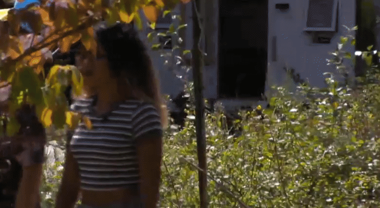 e4214b21a5ac33e67c3dbca08c81c55e.gif