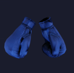 Blue Boxing Gloves