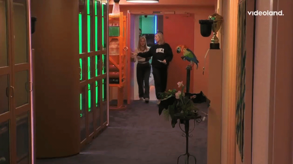 e4913e57faa2825fa9ebb5c313bcecbf.gif