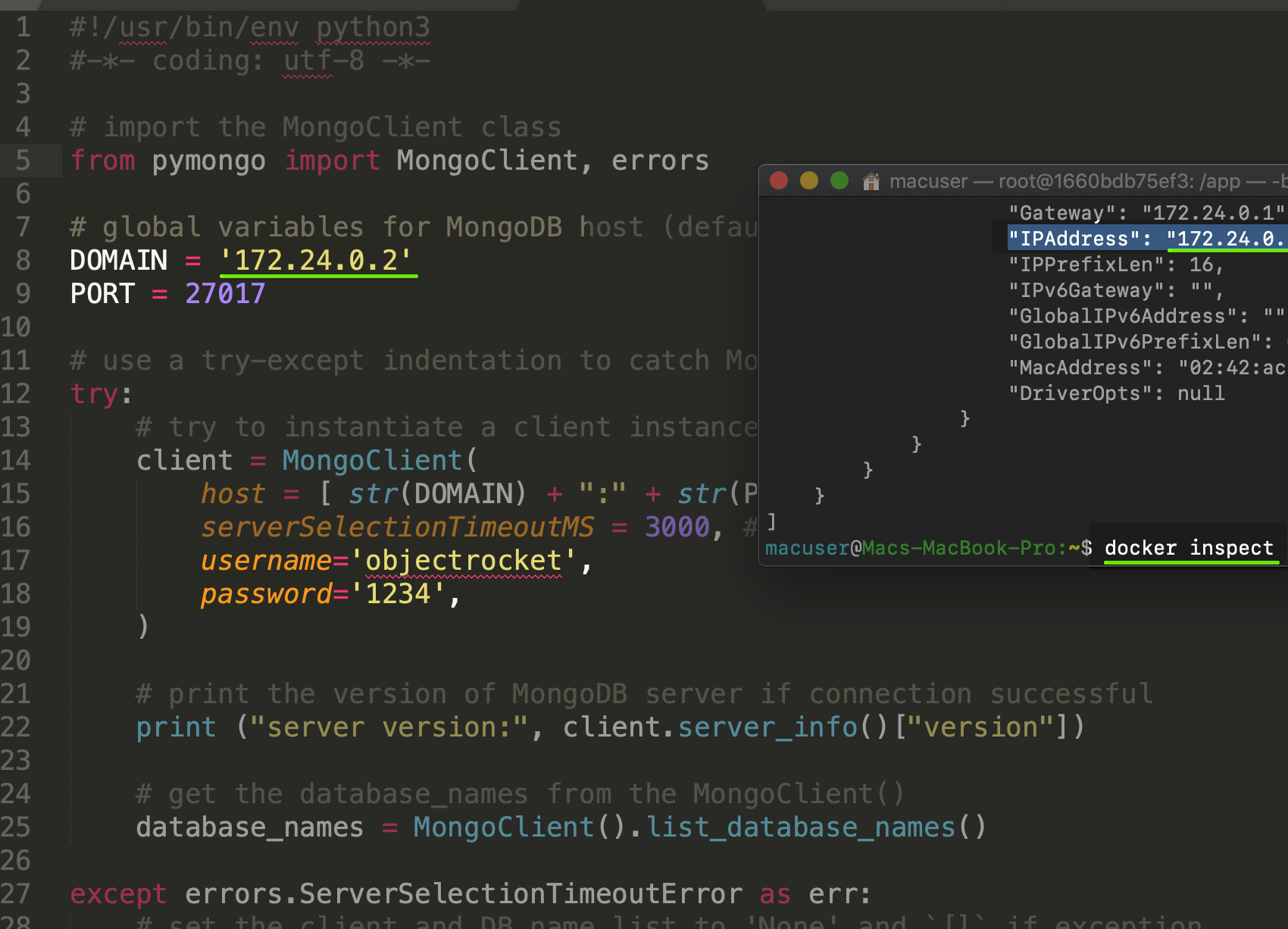 Screenshot of MongoDB Python script and Docker container IP address