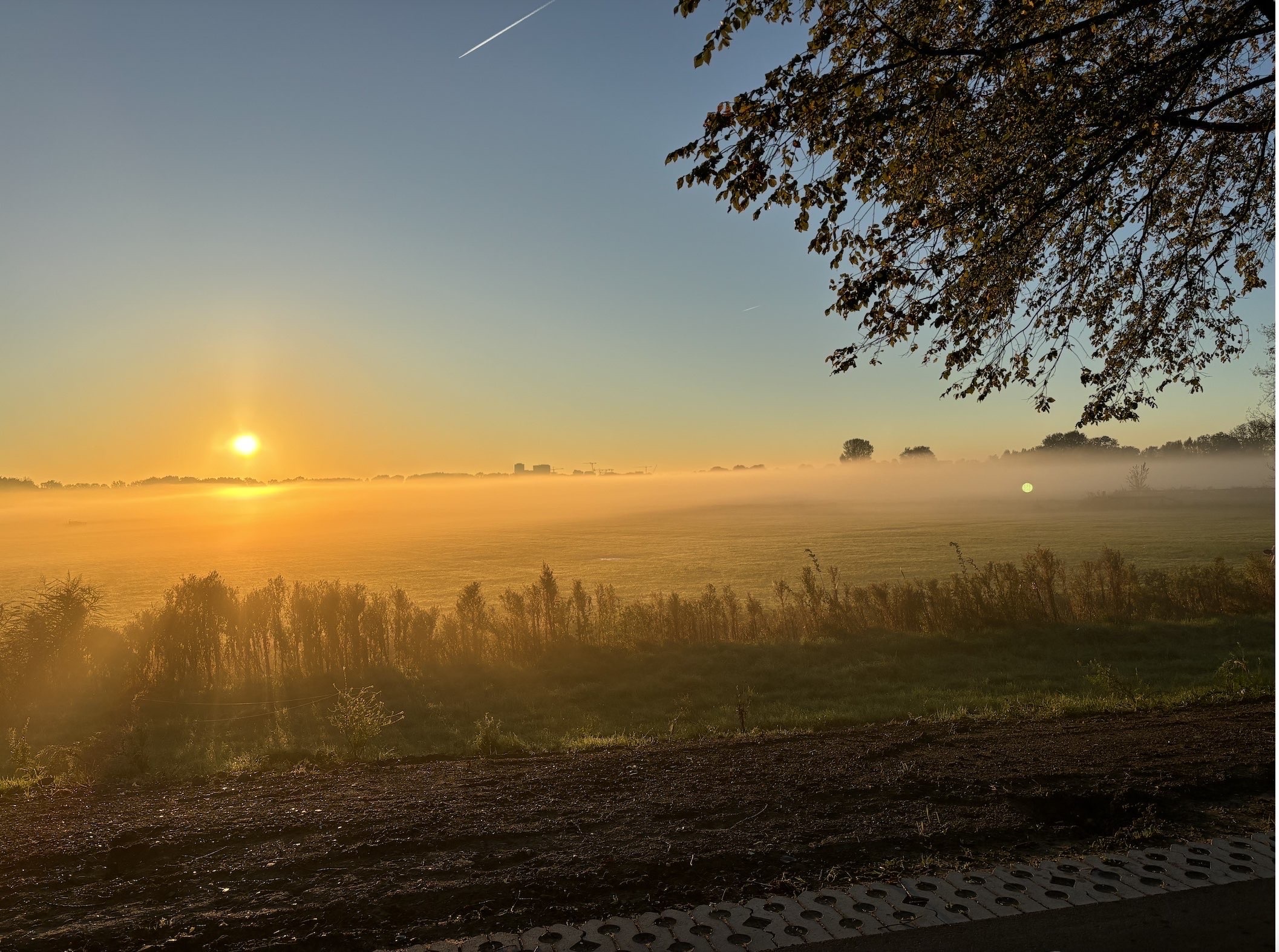 e508f0922cc59c2d27477a641a60a7de.jpg