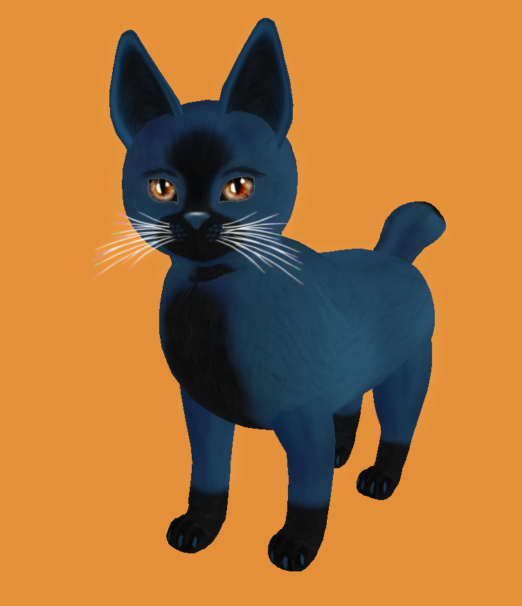 [Image: e534d250763c3c010fe15305db7cf3de.png]