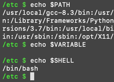 Screenshot of terminal getting environmental paths