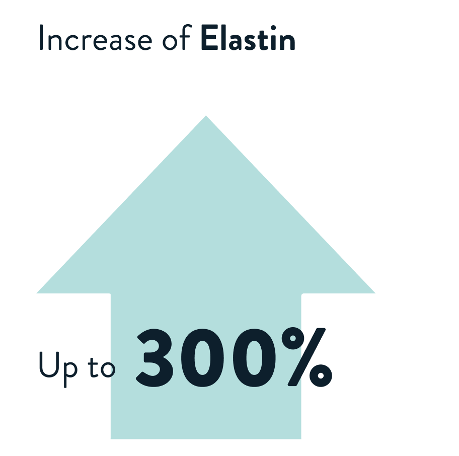 Green arrow with text: 'Increase of Elastin Up to 300%'.