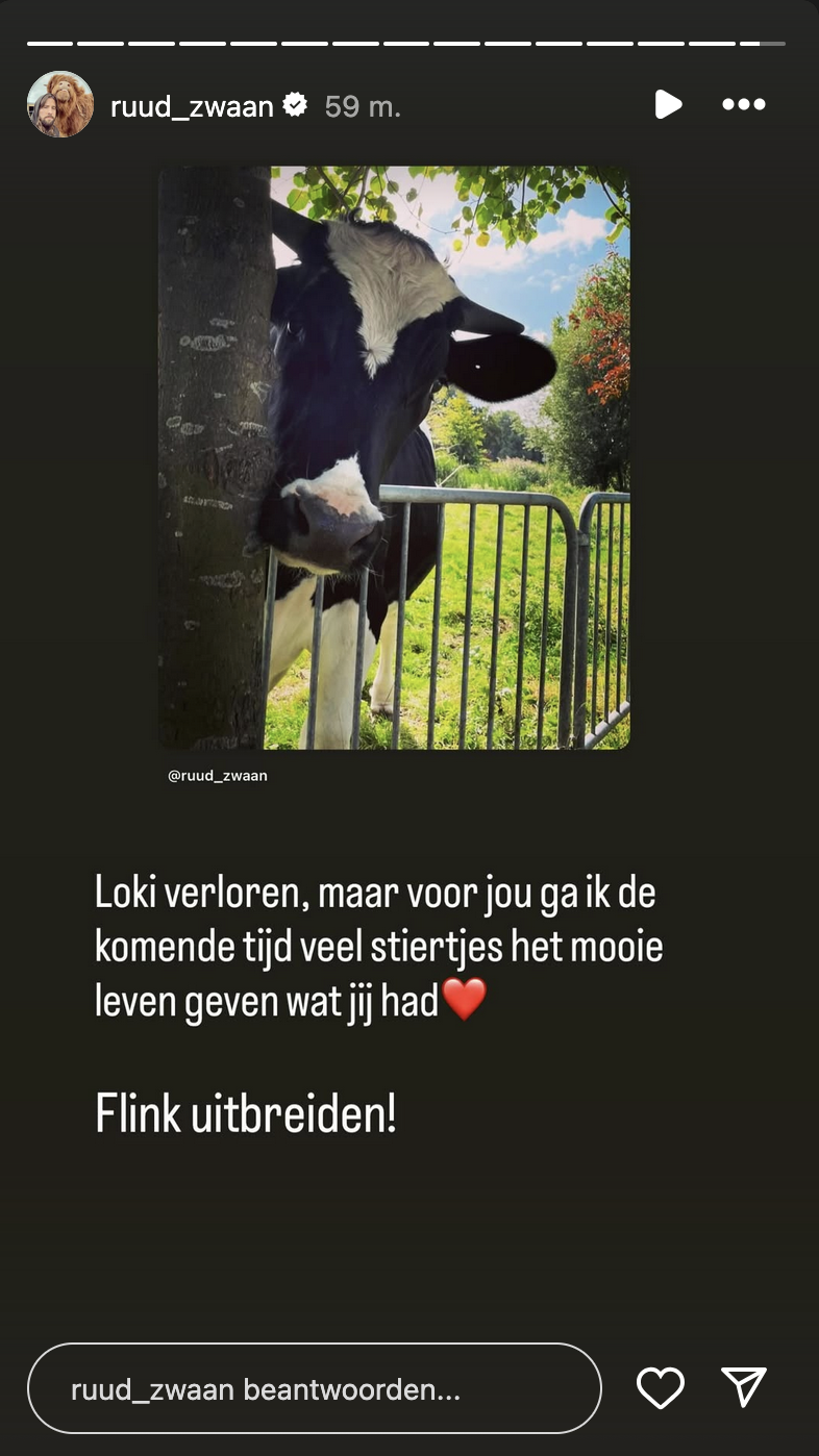 e5dd647577fc8ff3dafe3b09f3a77314.png