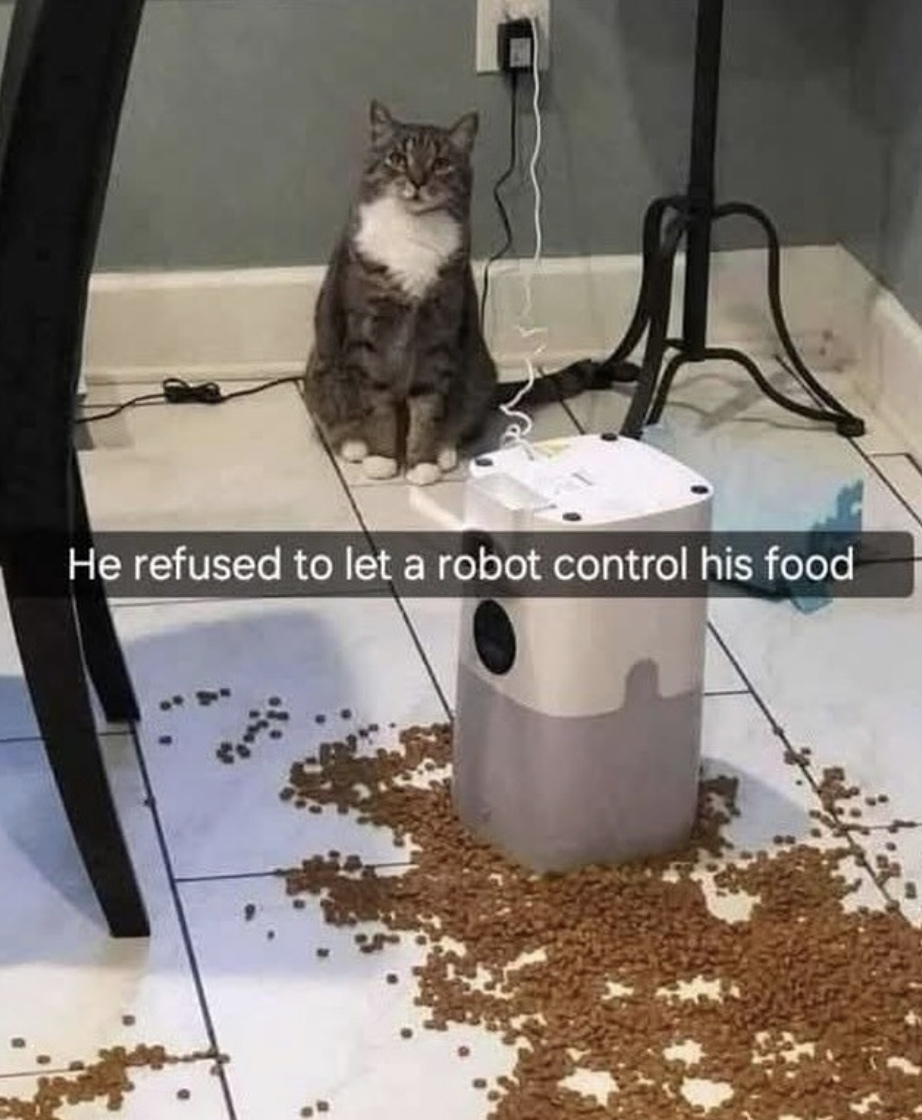 e5e53376a559b0bbbf39a3f938c63746.jpg