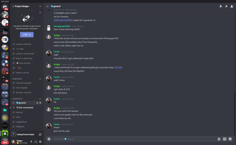 Getting Discord Role Ids Badger Docs