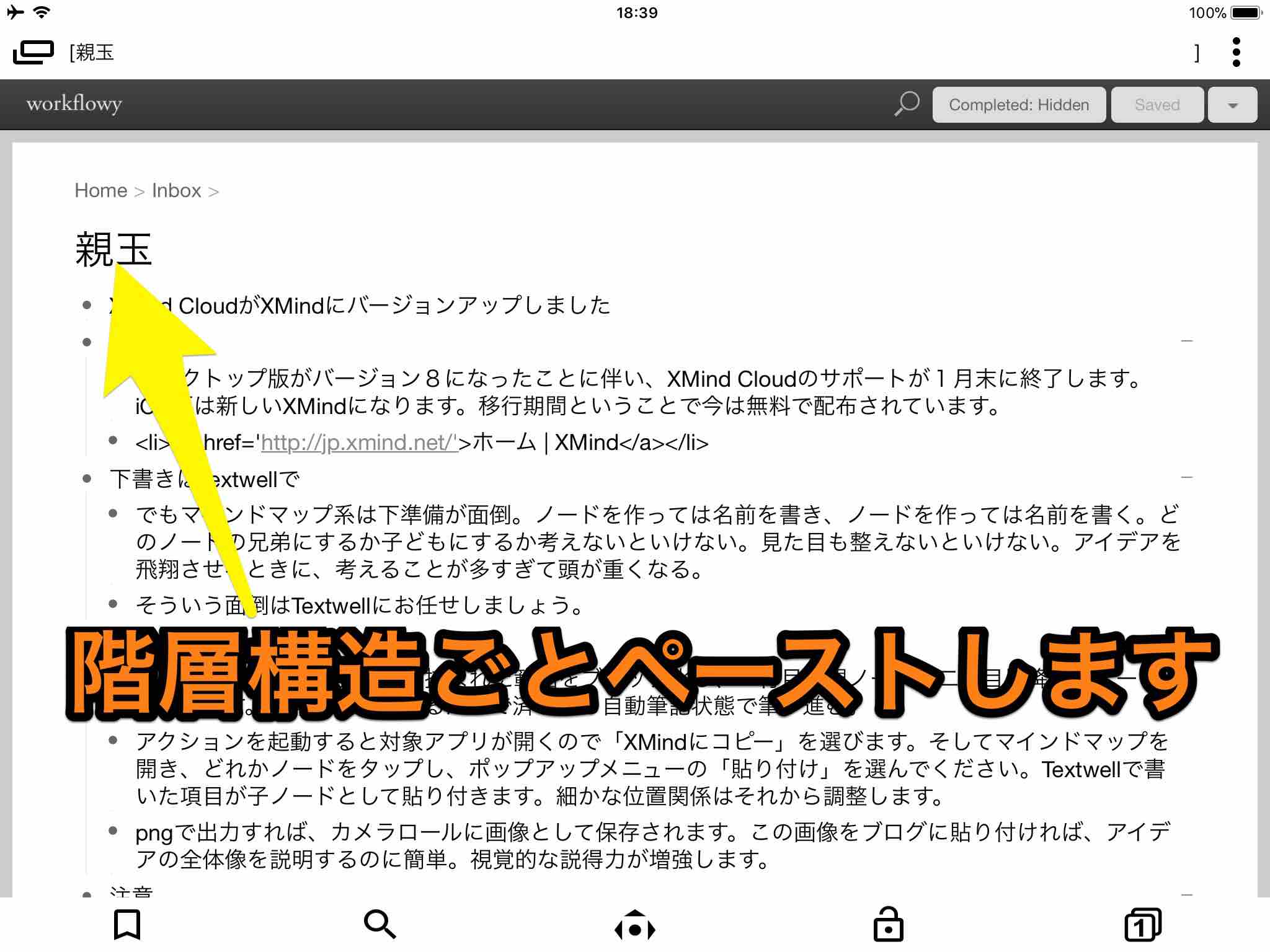 Xmindはテクスト分析のためのフードプロセッサーである W R Jazzと読書の日々