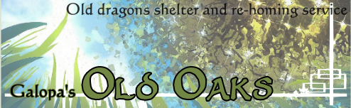 a drawing of an oak tree and blue sky viewed from the ground, with the text old dragons shelter and re-homing service at the top right and the text galopa's old oaks at the lower left in larger letters.