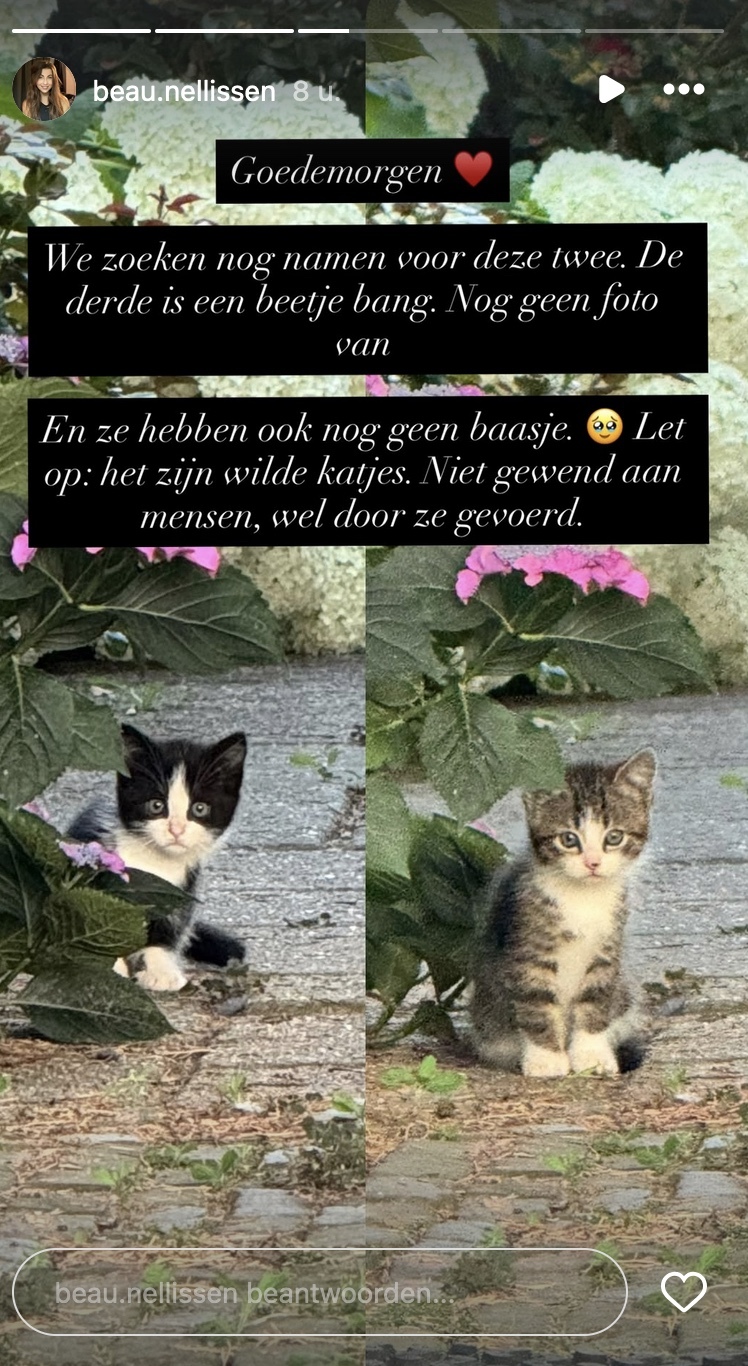 e789771820d68893b03b88bf7f6058df.jpg