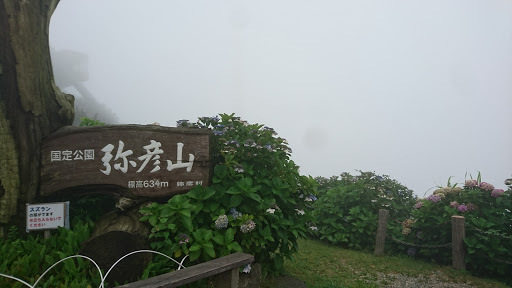[写真]雲に覆われた弥彦山頂