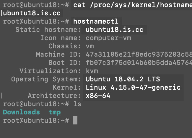 Screenshot using the 'hostnamectl' command to get the distro of Linux