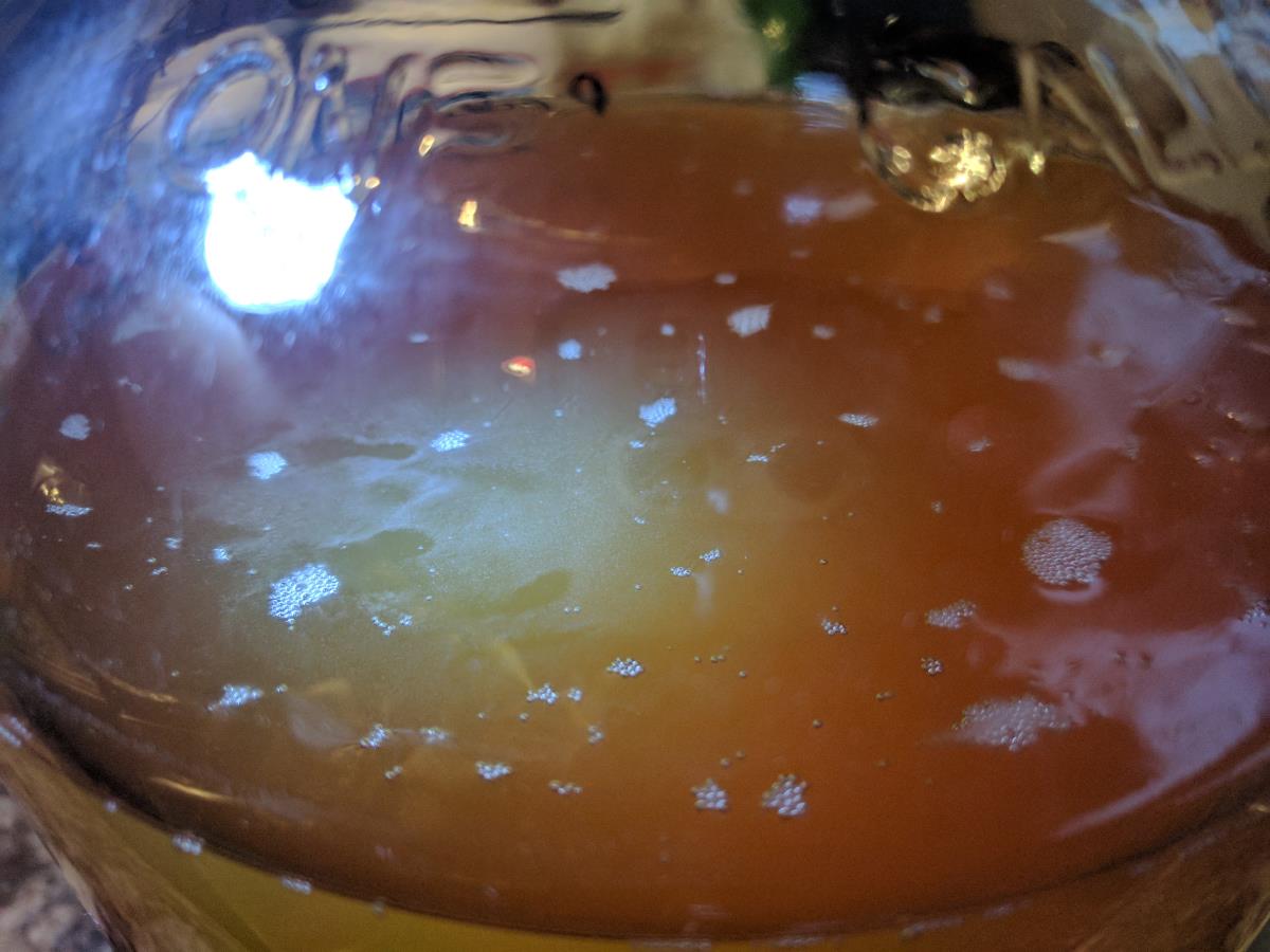 Is my mead healthy? r/mead