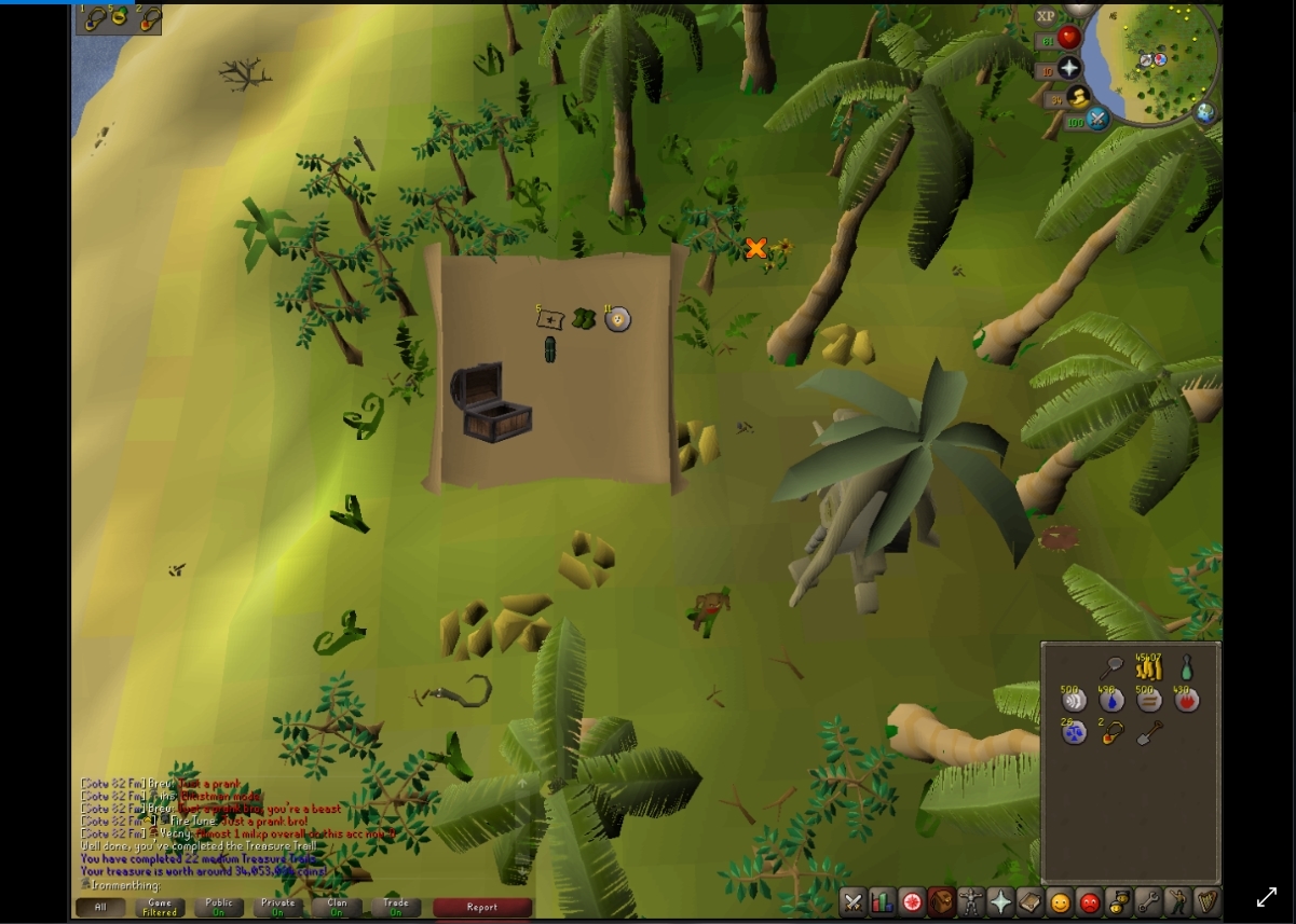 On my 22nd Medium clue I got... ironscape