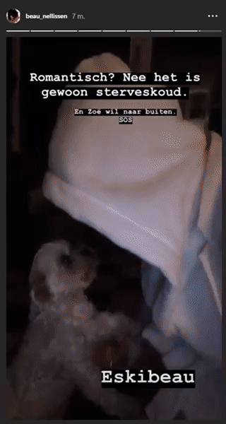 e8d2713ec73af32c5987f5793062e48a.gif