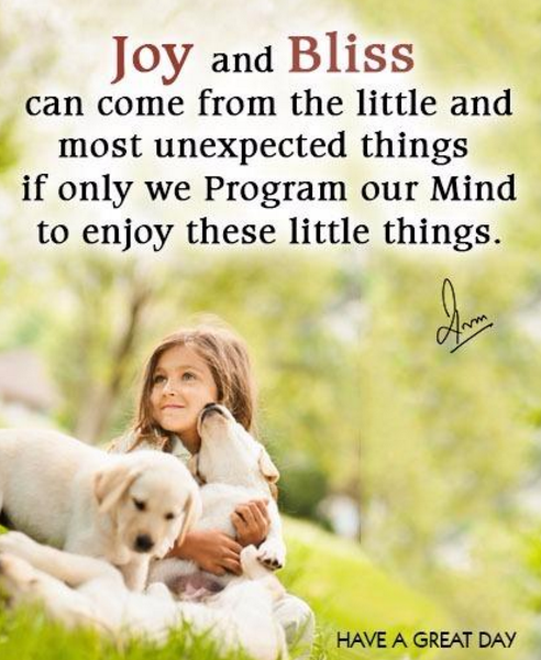 Joy and Bliss can come from the little and most unexpected things if only we Program our Mind to enjoy these little things.