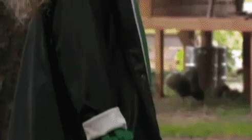 e9c18b5adcc8680529e713bf3718c50e.gif