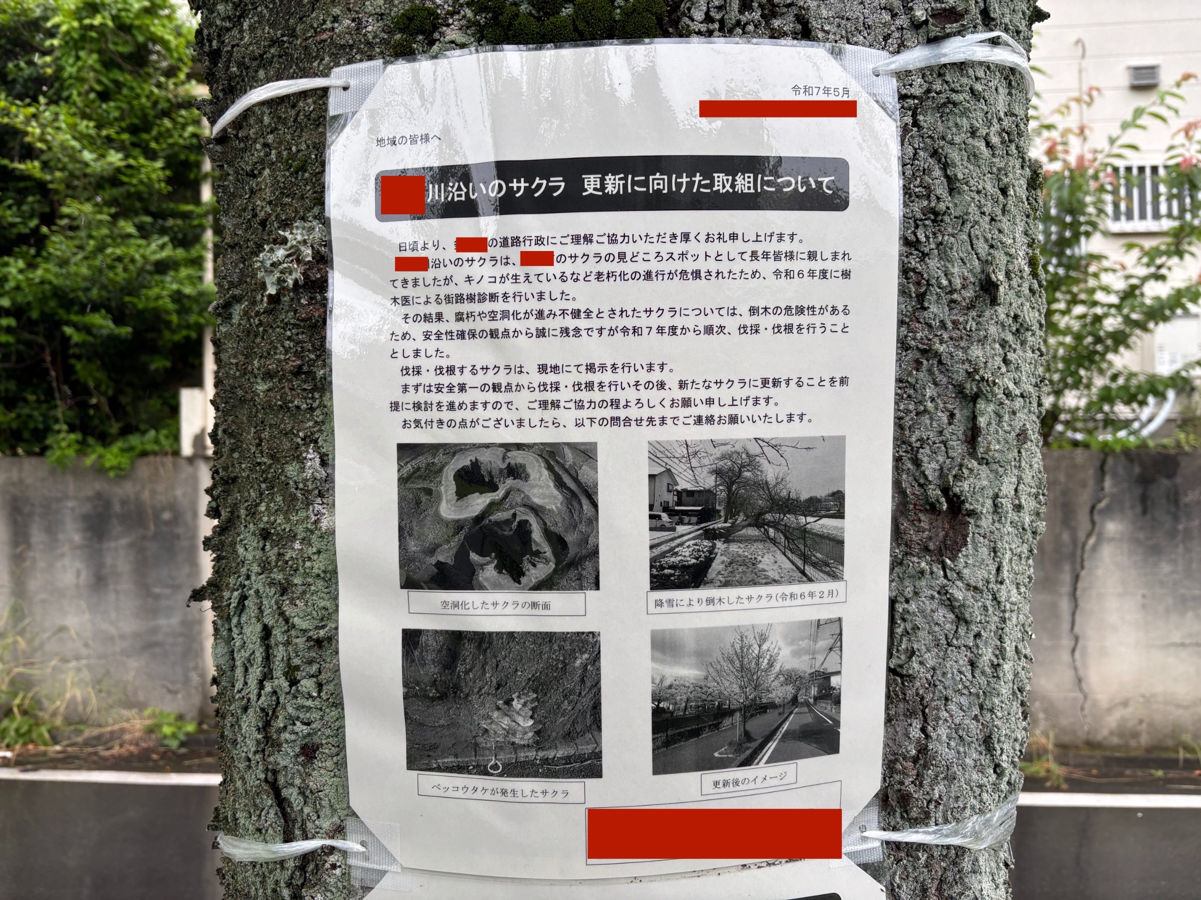 20250603 予測変換テキストで遊ぶ
