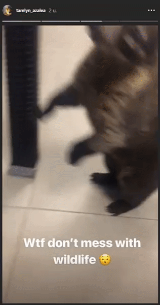 ea35a032581392c3276827b53d97368e.gif
