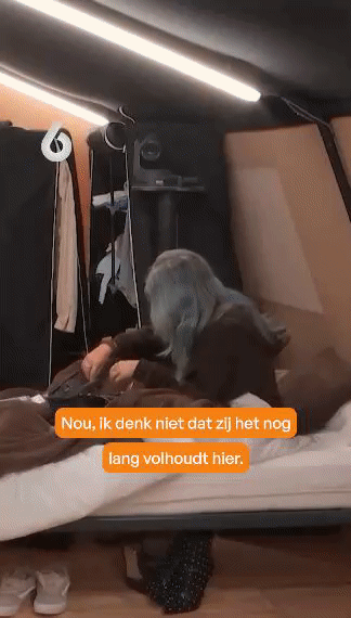 ea74477c8e2a6bcf70e4fd91ee3ad0e8.gif