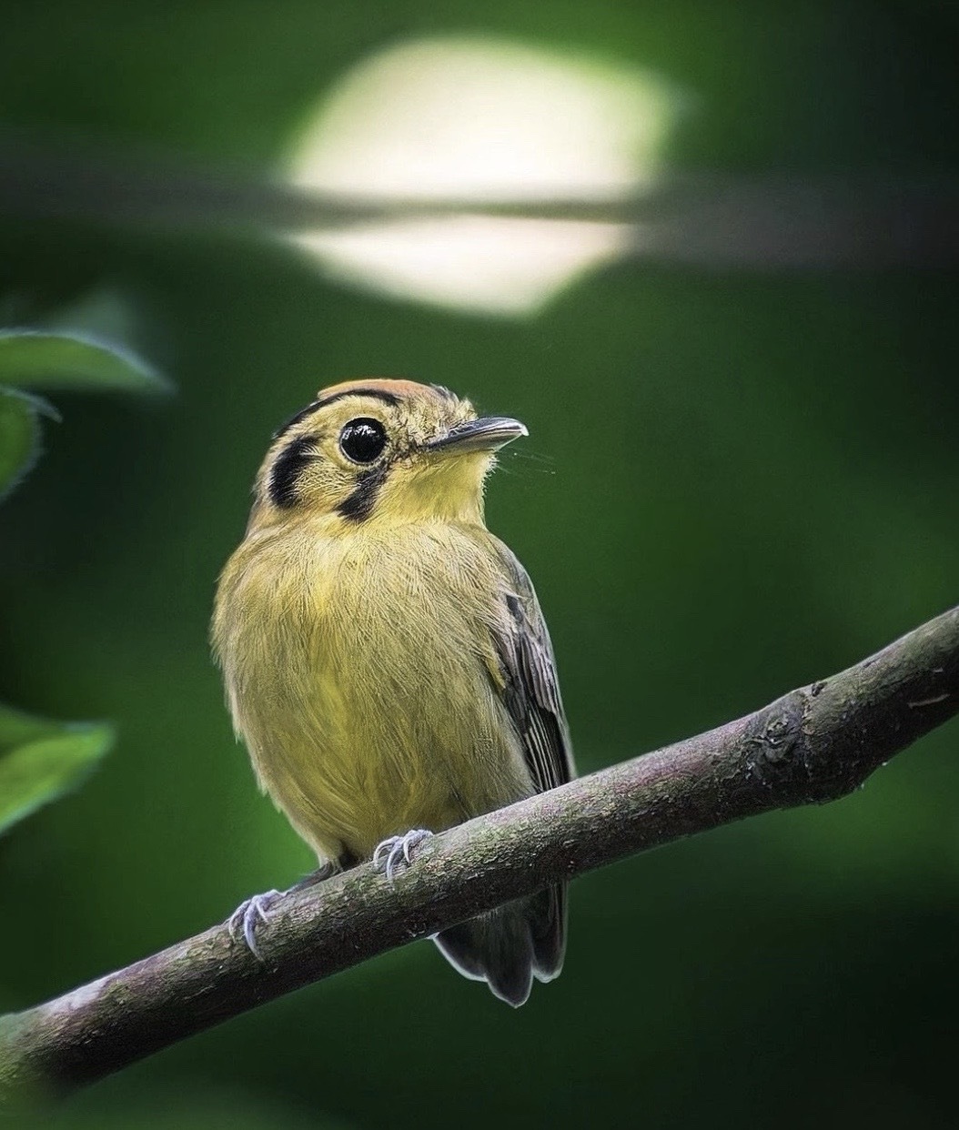 eab44a3a5ed1eb6fecc637537aa0402c.jpg