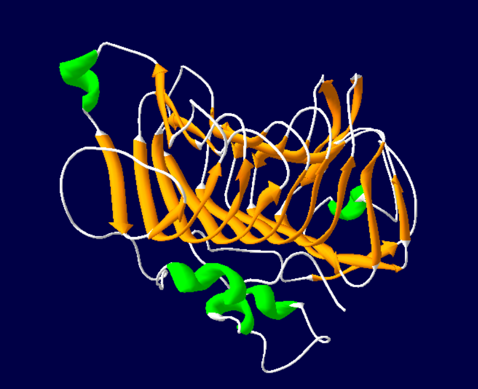Solved Determine the type of protein folding going in the