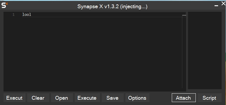 Help Synapse X Injection