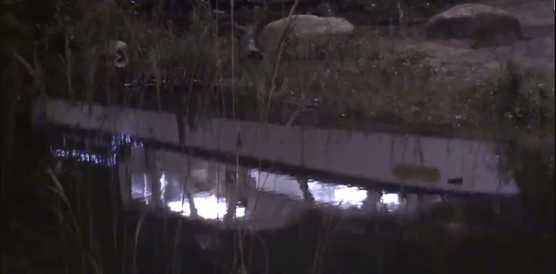 ec04e39a73d0c9f16978dec863c34f87.gif
