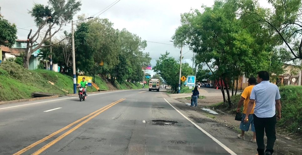 Descripción