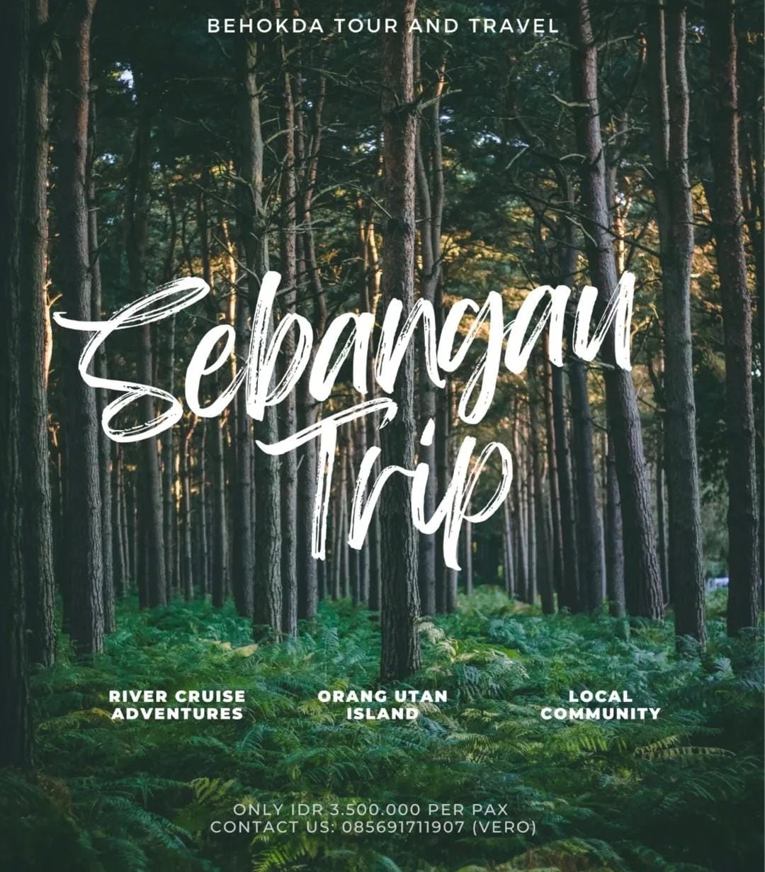 Sebangau Tour