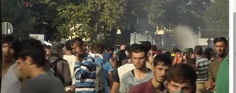 ee92bdaa9aedd1ecb499e58605ee235d.gif