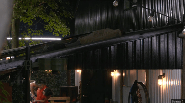 eec2362a6d247fbc6891f56214dc0997.gif