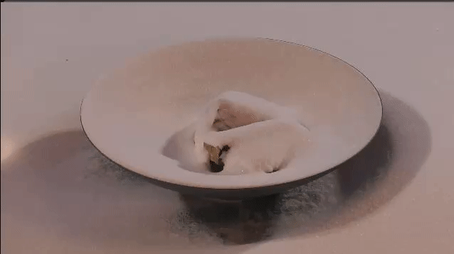 eed4dccca1c9de45db08bd8d168741d4.gif