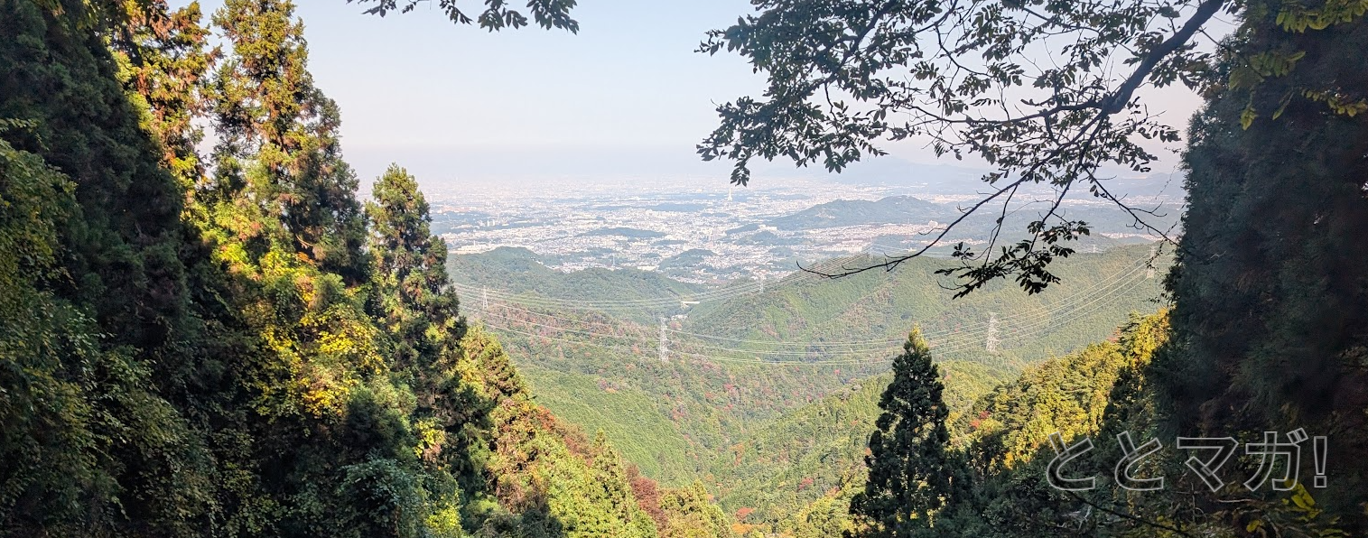 展望台からPLの塔方面を眺めます